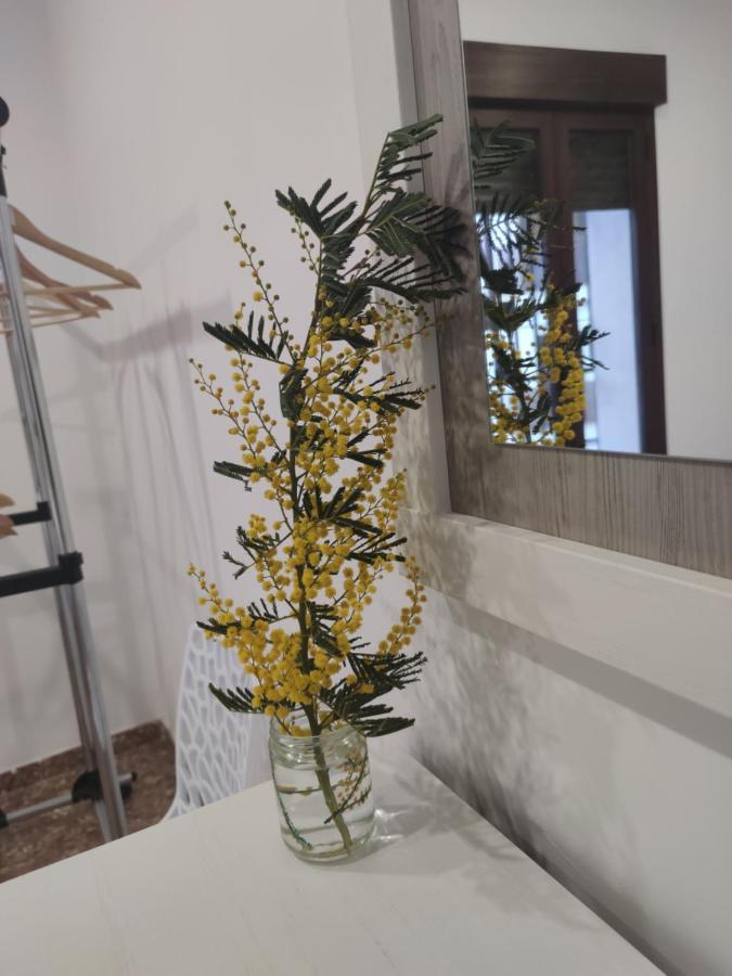 La Casa De La Mimosa Leilighet Córdoba Eksteriør bilde